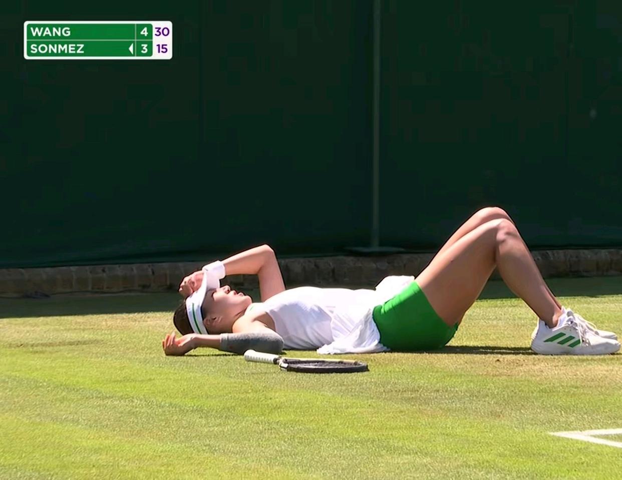 网球官方发布赛后数据，表现引争议的简单介绍