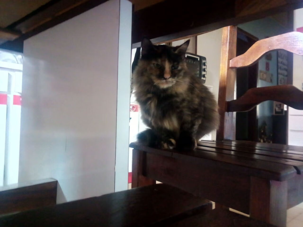 双线战争，当澳大利亚一波带走巴黎，李刚仁在欧冠决赛接管比赛