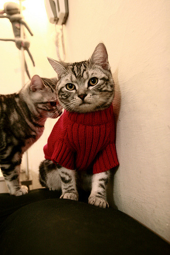 广东制造,当草根铁流淹没NBA星光的夜晚