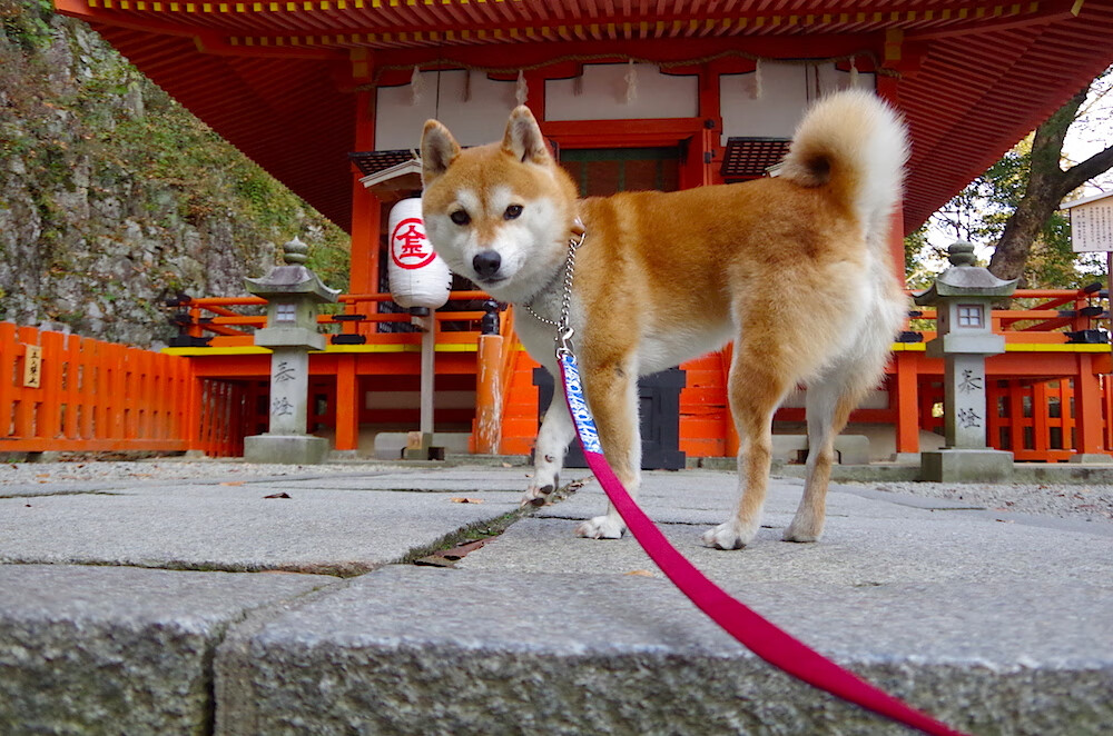 末节逆袭!乔治关键接管,灰熊逆风翻盘,快船末节崩盘暴露隐忧