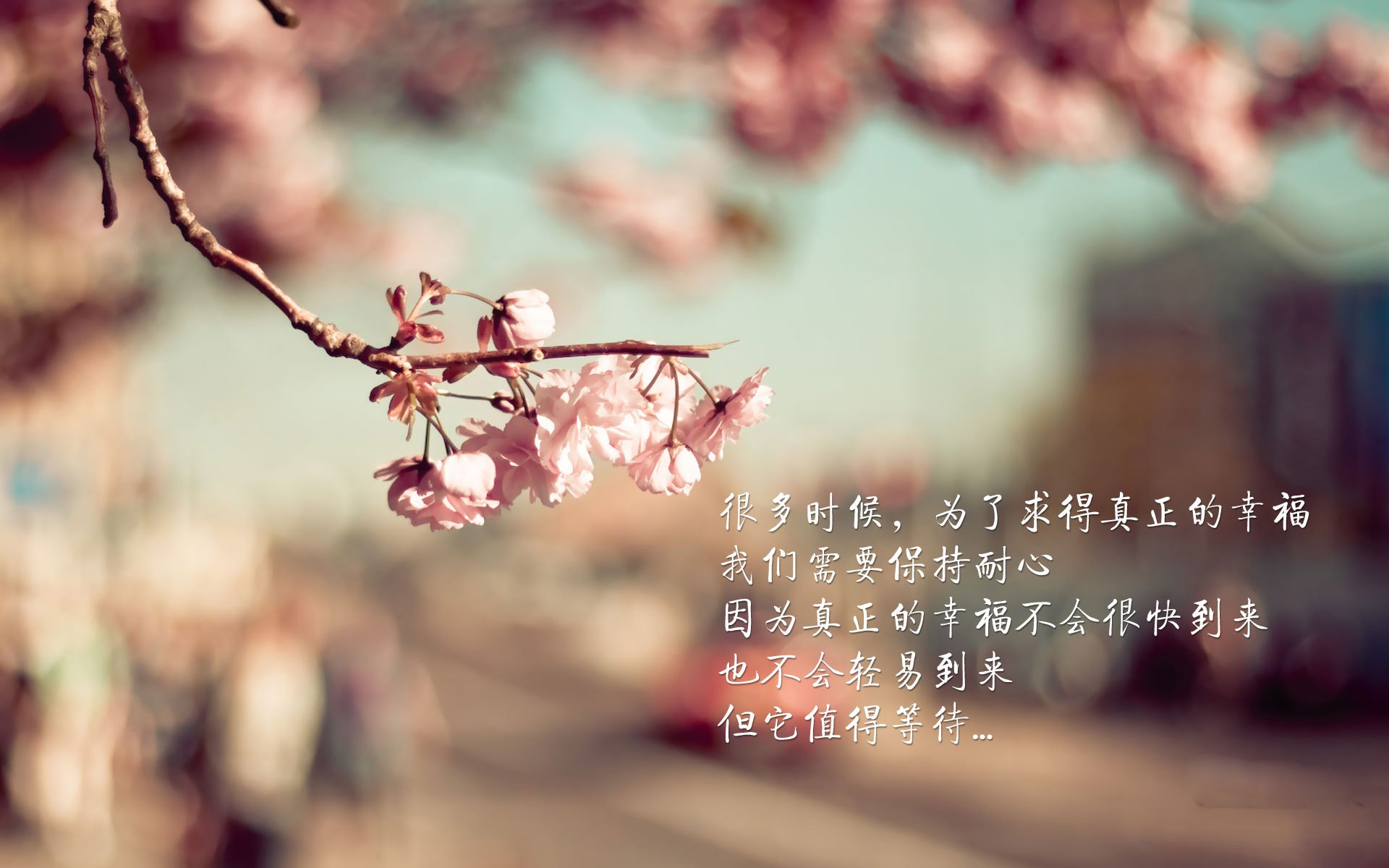 三分剑雨拔绿军旗帜，米切尔关键节点接管比赛 老鹰反扑夺主场胜利