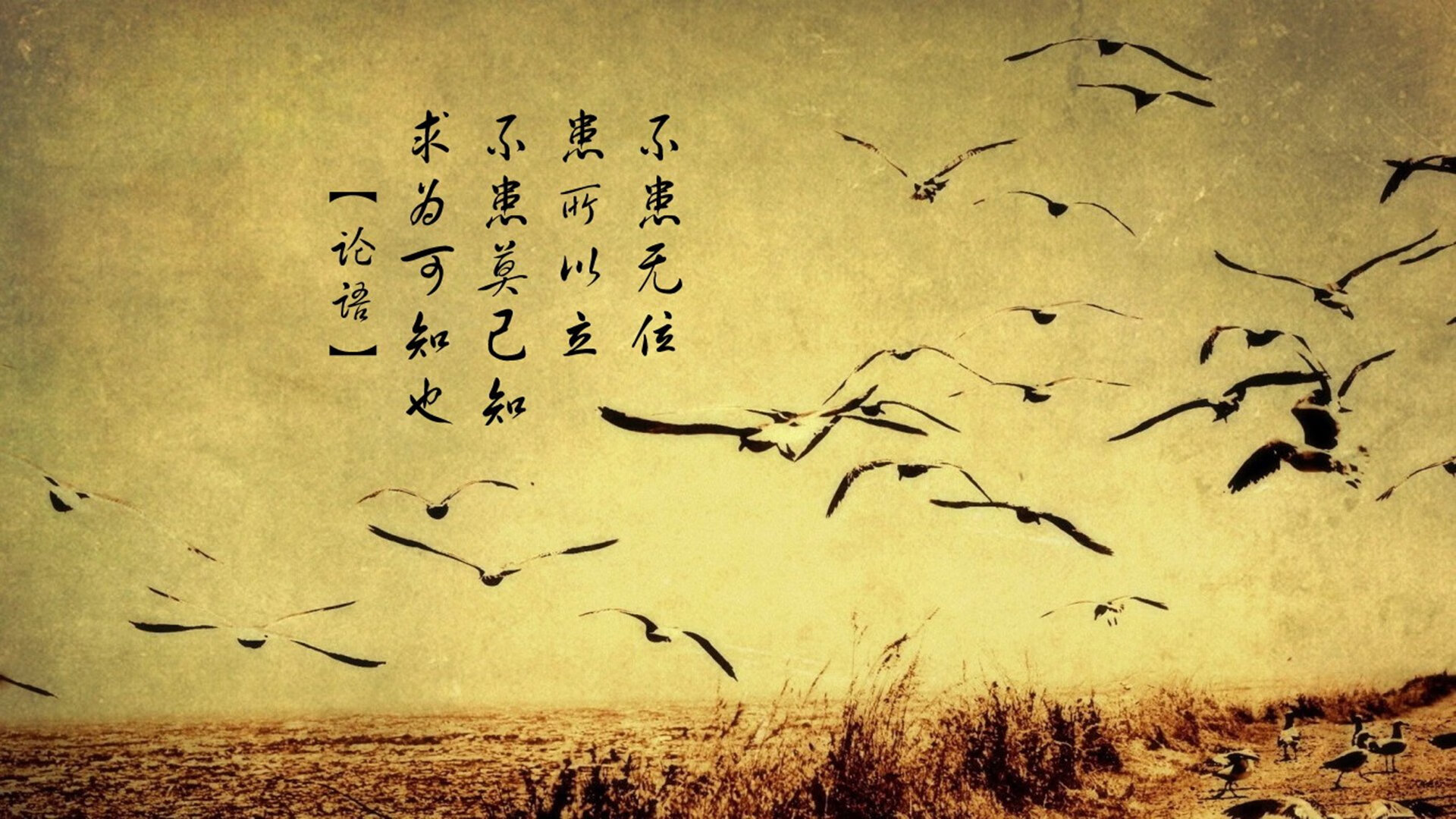 节奏的独裁者，当摩洛哥的压迫美学遇上维尼修斯的灵魂舞步