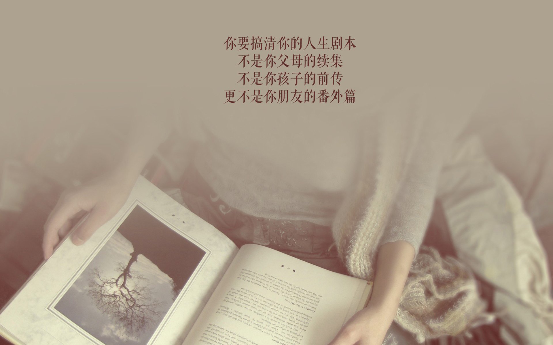 E组双雄会,摩洛哥铁蹄踏碎保加利亚,久保建英用进球点亮日本进攻之光—2026世界杯关键战纪实